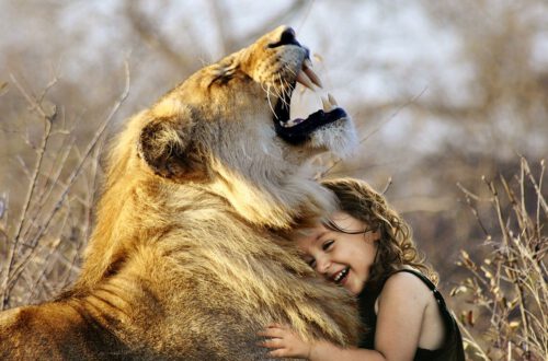 Child Hug Lion