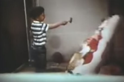 Bobo Doll Experiment