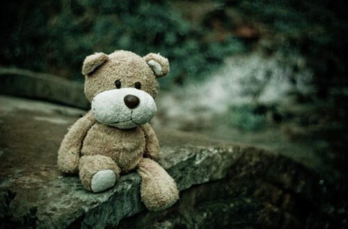 Sad Bear