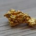 Gold Nugget